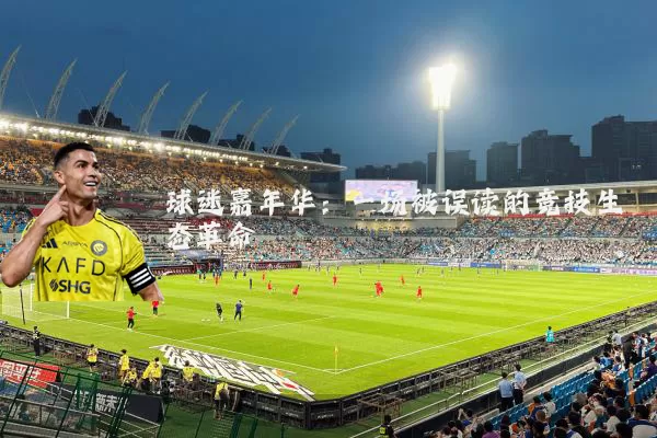球迷嘉年华:一场被误读的竞技生态革命
